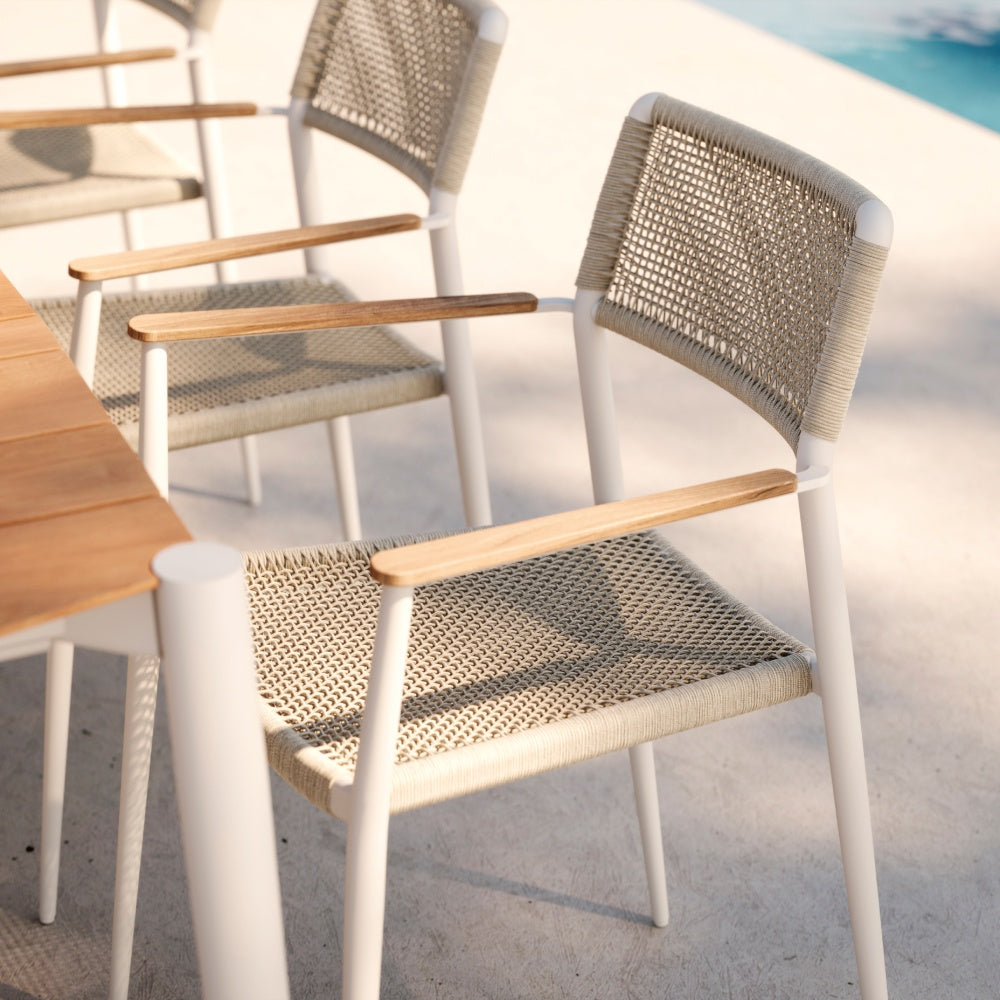 Ray Dining Armchair