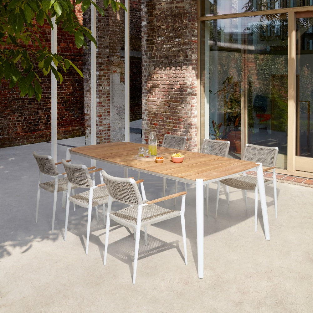 Ray Dining Armchair
