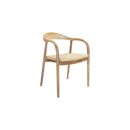 Swan Viro Chair