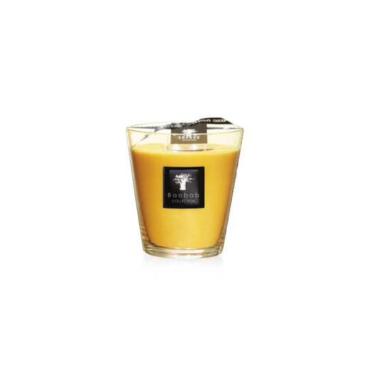 All Seasons Zanzibar Spices Candle - Max 16