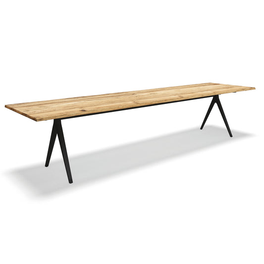 Raw Dini Table - L 350 cm